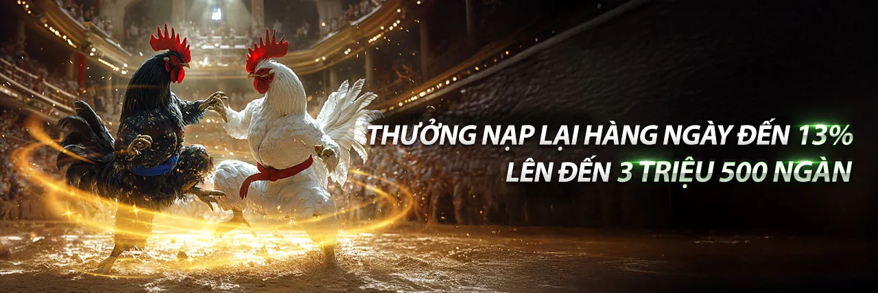 Đá gà kịch tính tại new888