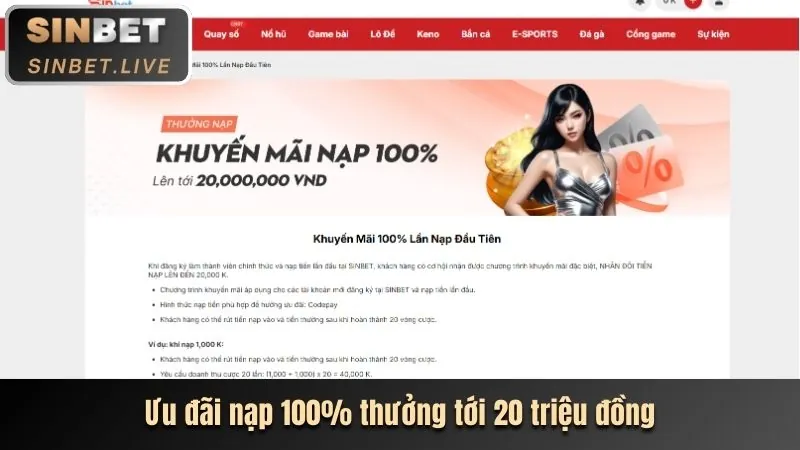Phân tích các chương trình khuyến mãi và lợi ích tại NEW888
